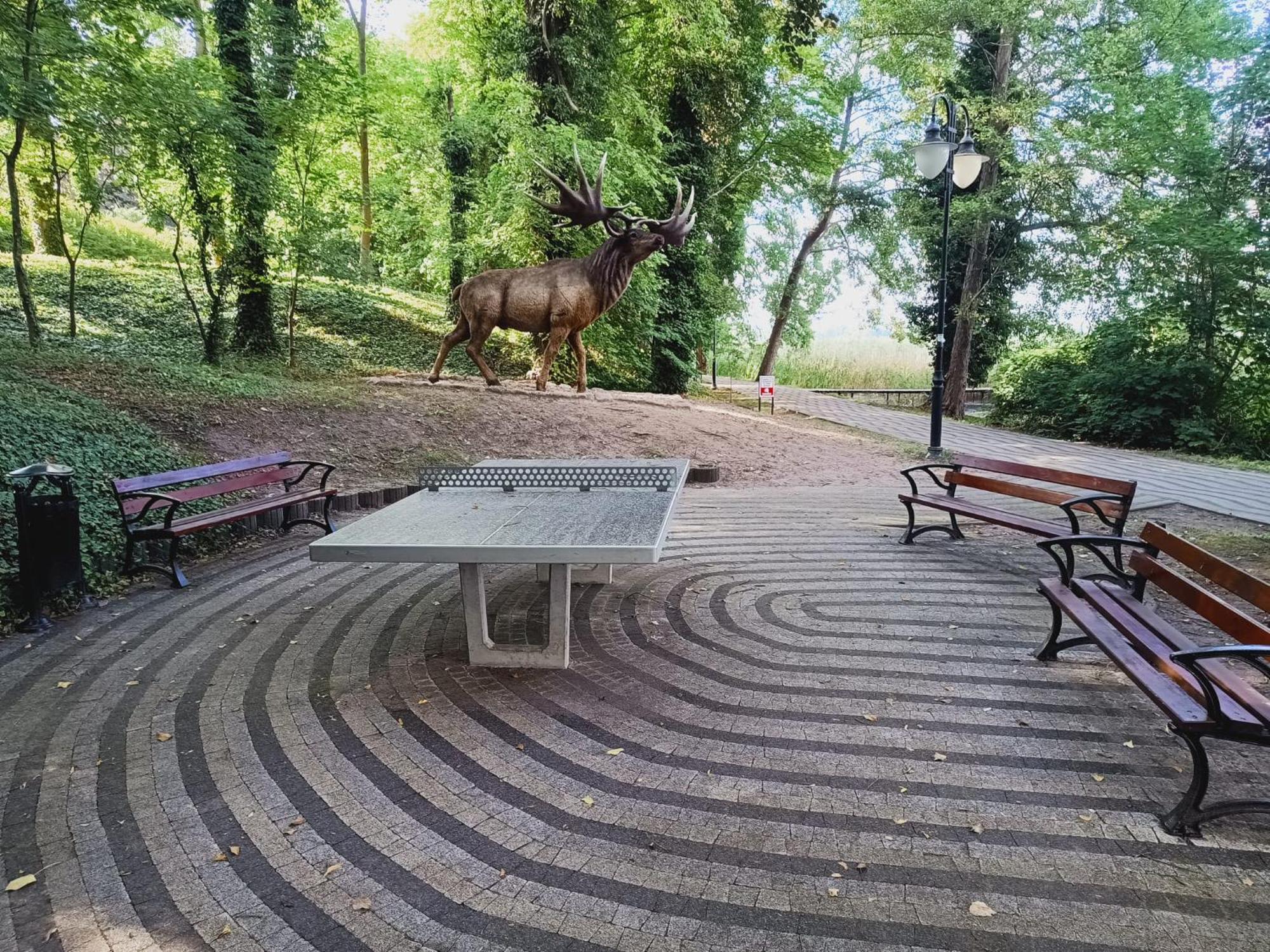 Domki Obok Plazy Hotel Moryn Kültér fotó